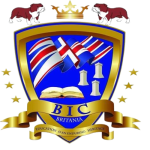 Instituto Británico Celaya